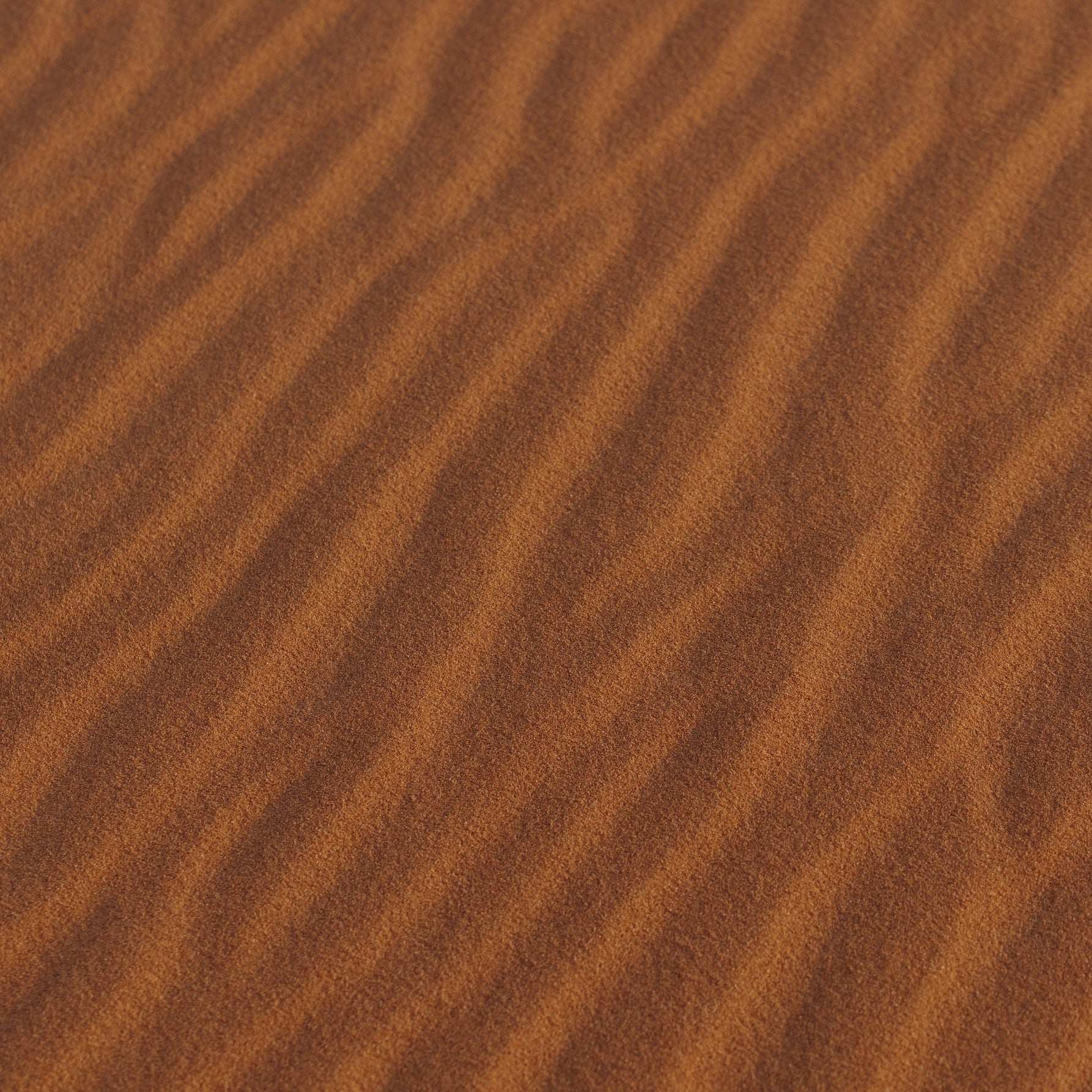 Capuchon Monogrammé