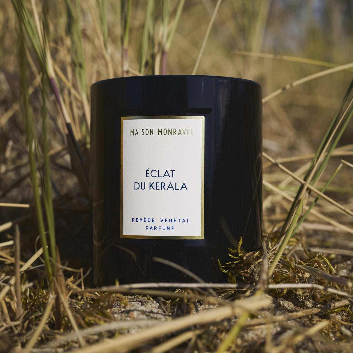 Bougie Éclat du Kerala dans les herbes des dunes